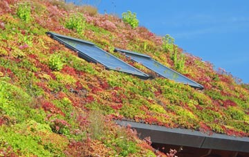 Kitt Green living roof systems